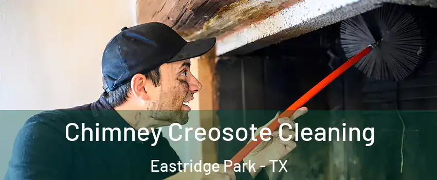 Chimney Creosote Cleaning Eastridge Park - TX