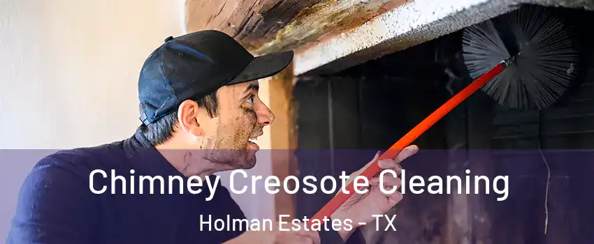 Chimney Creosote Cleaning Holman Estates - TX