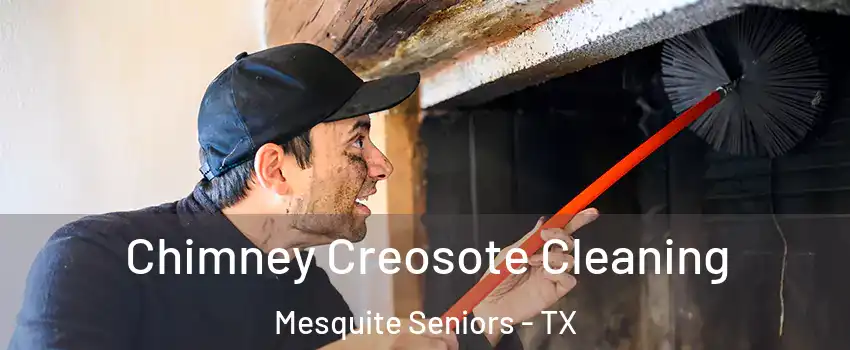 Chimney Creosote Cleaning Mesquite Seniors - TX