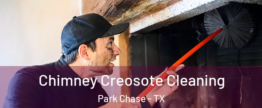 Chimney Creosote Cleaning Park Chase - TX
