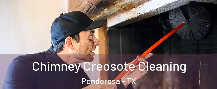 Chimney Creosote Cleaning Ponderosa - TX