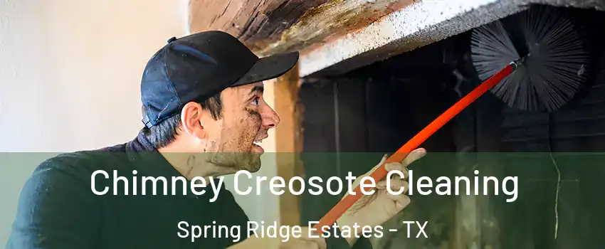 Chimney Creosote Cleaning Spring Ridge Estates - TX