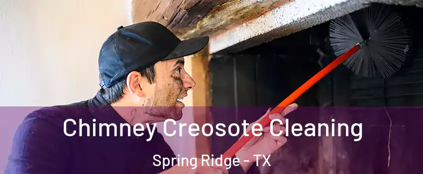 Chimney Creosote Cleaning Spring Ridge - TX