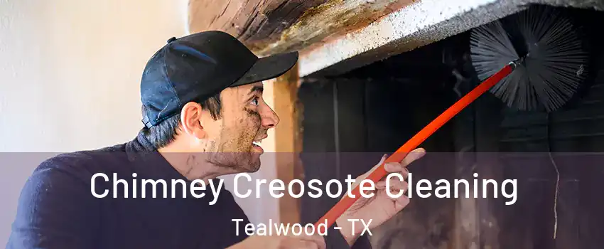 Chimney Creosote Cleaning Tealwood - TX