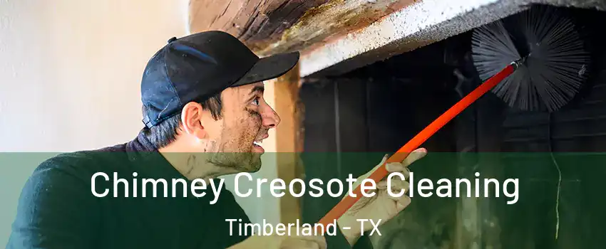Chimney Creosote Cleaning Timberland - TX