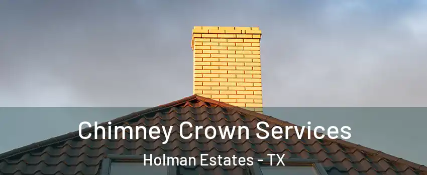 Chimney Crown Services Holman Estates - TX