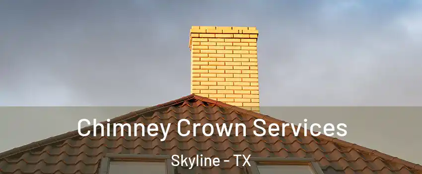 Chimney Crown Services Skyline - TX