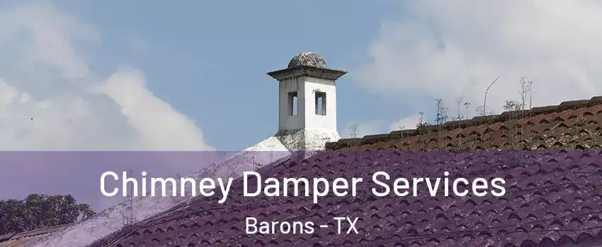 Chimney Damper Services Barons - TX