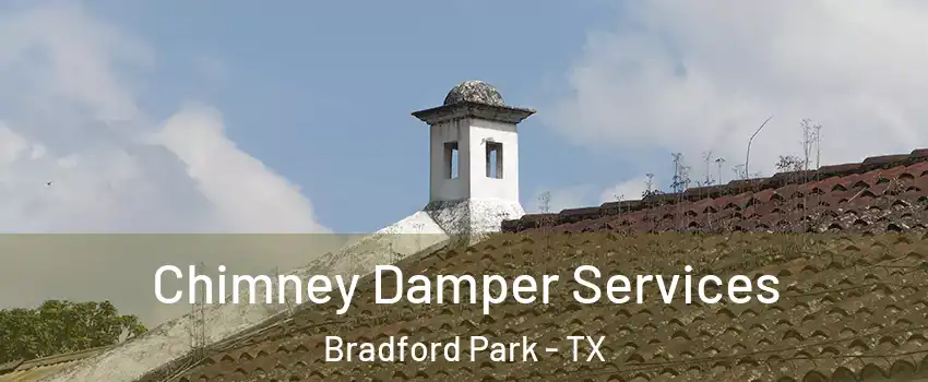 Chimney Damper Services Bradford Park - TX