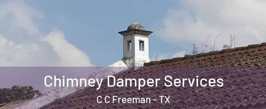 Chimney Damper Services C C Freeman - TX