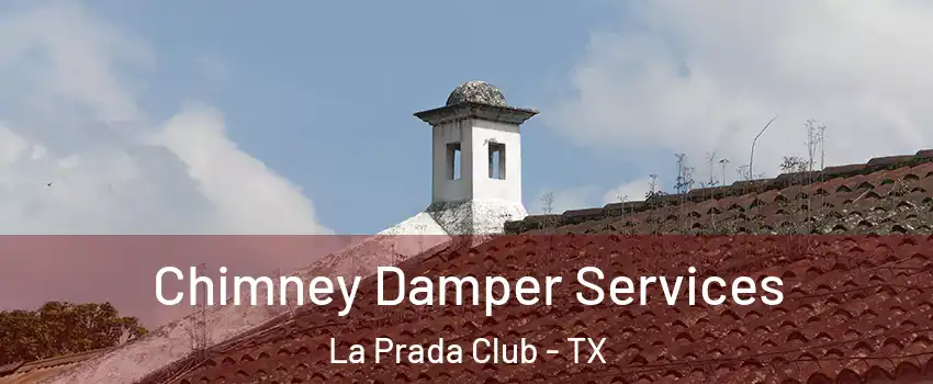 Chimney Damper Services La Prada Club - TX