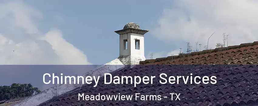 Chimney Damper Services Meadowview Farms - TX