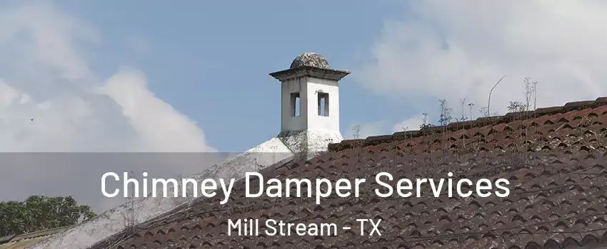 Chimney Damper Services Mill Stream - TX
