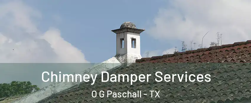 Chimney Damper Services O G Paschall - TX
