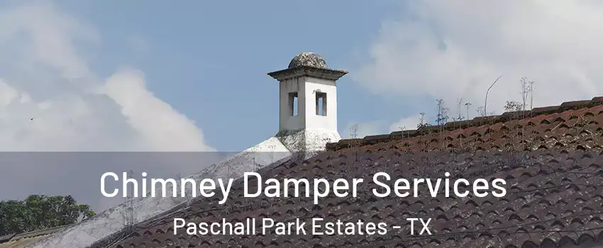 Chimney Damper Services Paschall Park Estates - TX