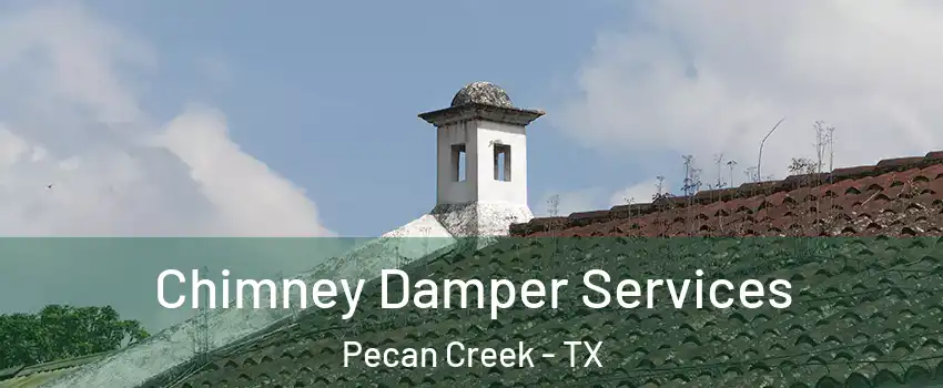 Chimney Damper Services Pecan Creek - TX