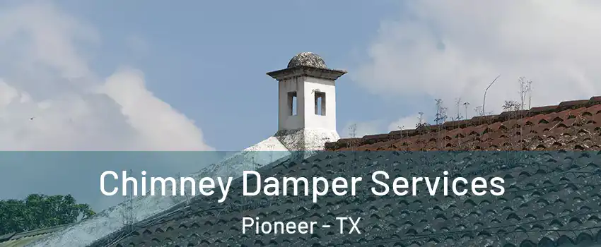 Chimney Damper Services Pioneer - TX