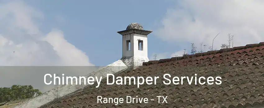 Chimney Damper Services Range Drive - TX