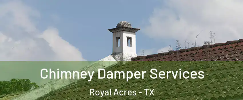 Chimney Damper Services Royal Acres - TX