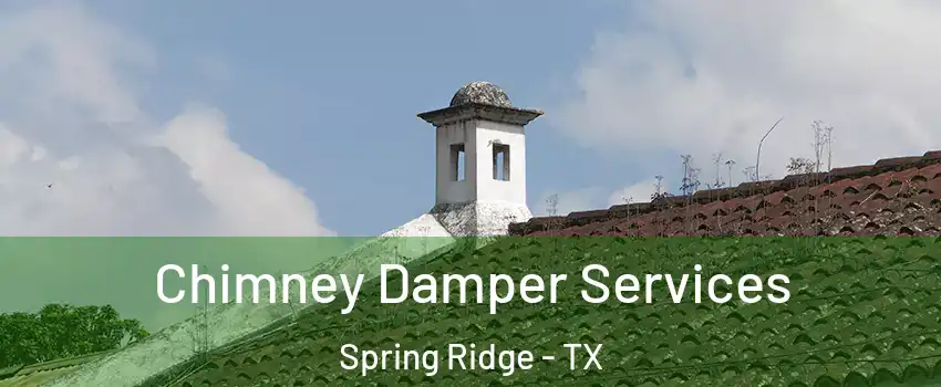 Chimney Damper Services Spring Ridge - TX