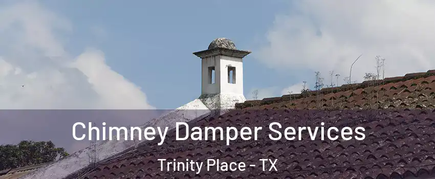Chimney Damper Services Trinity Place - TX
