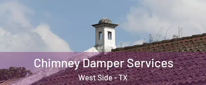 Chimney Damper Services West Side - TX