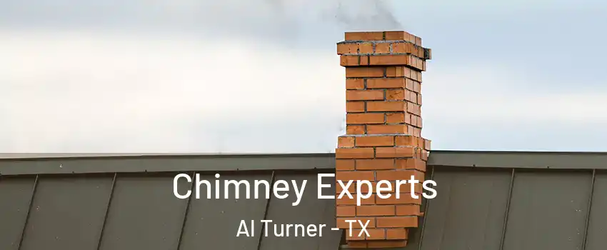 Chimney Experts Al Turner - TX