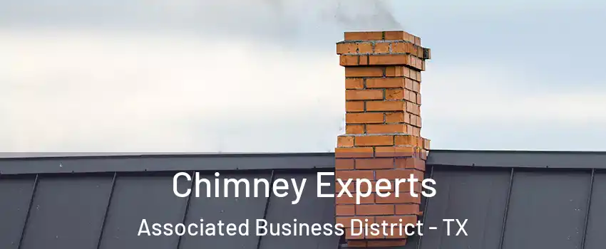 Chimney Experts Associated Business District - TX
