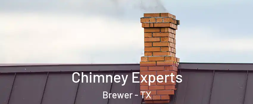 Chimney Experts Brewer - TX