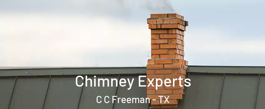 Chimney Experts C C Freeman - TX