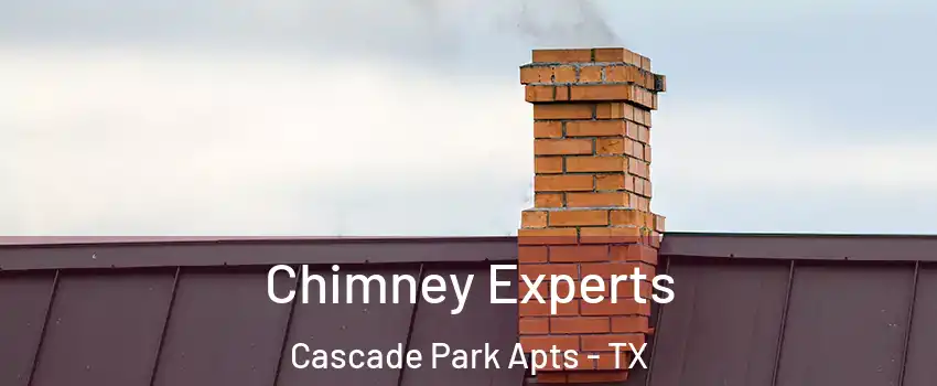 Chimney Experts Cascade Park Apts - TX
