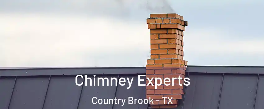 Chimney Experts Country Brook - TX