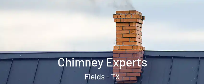 Chimney Experts Fields - TX
