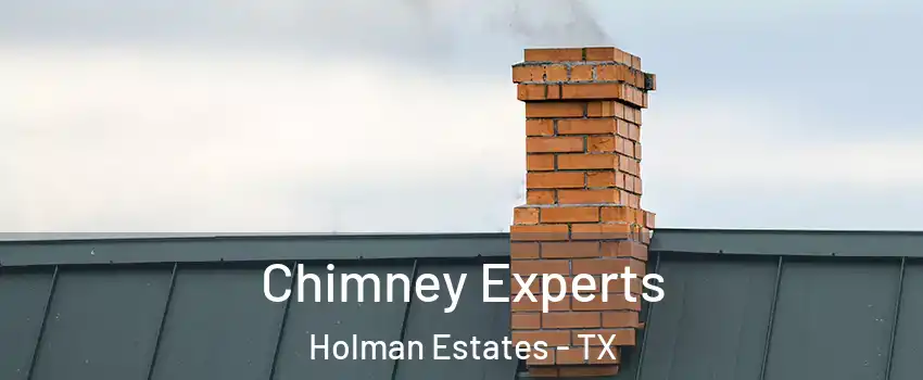 Chimney Experts Holman Estates - TX