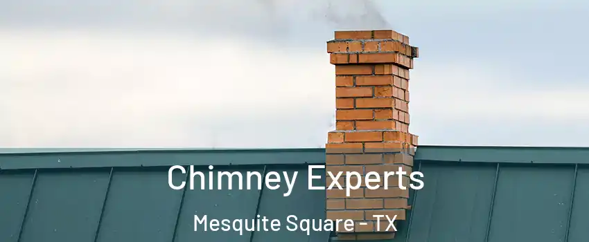 Chimney Experts Mesquite Square - TX