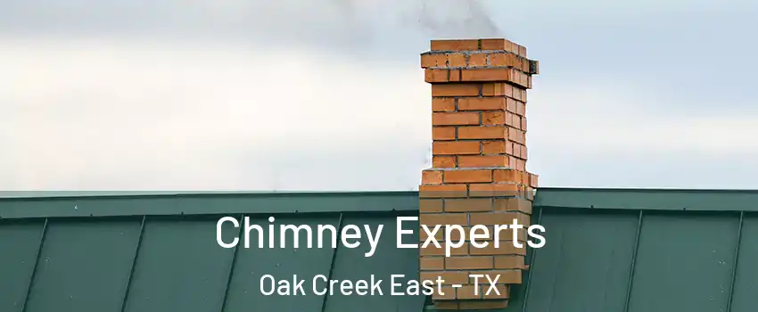 Chimney Experts Oak Creek East - TX