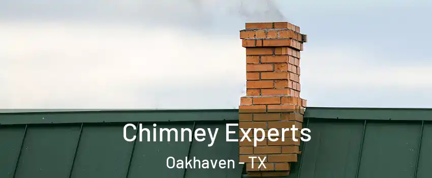 Chimney Experts Oakhaven - TX