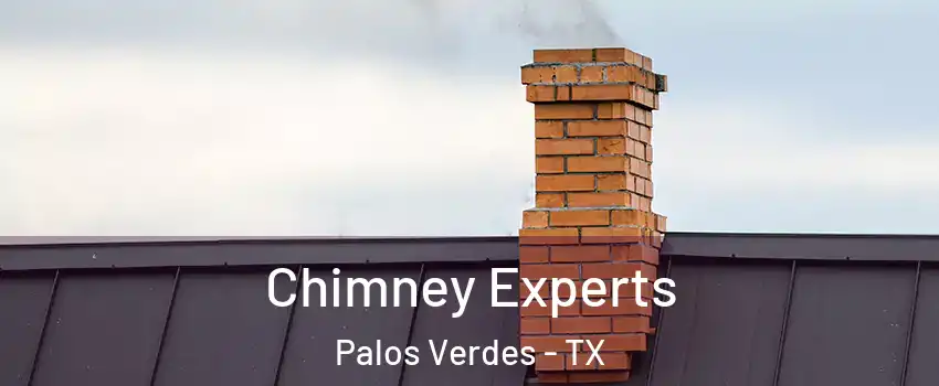 Chimney Experts Palos Verdes - TX