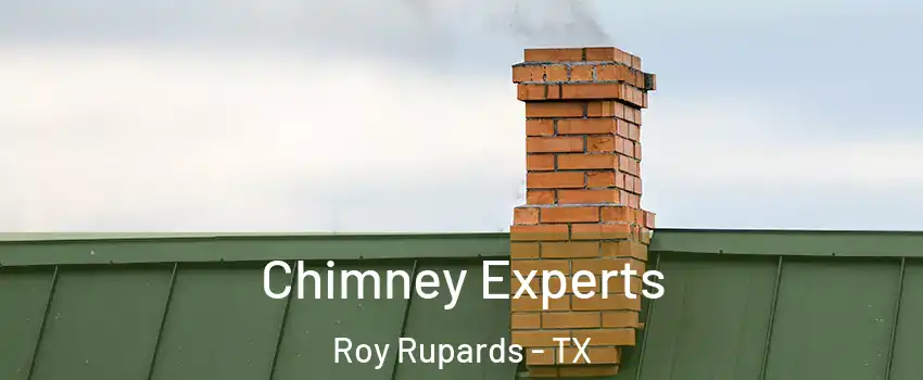 Chimney Experts Roy Rupards - TX