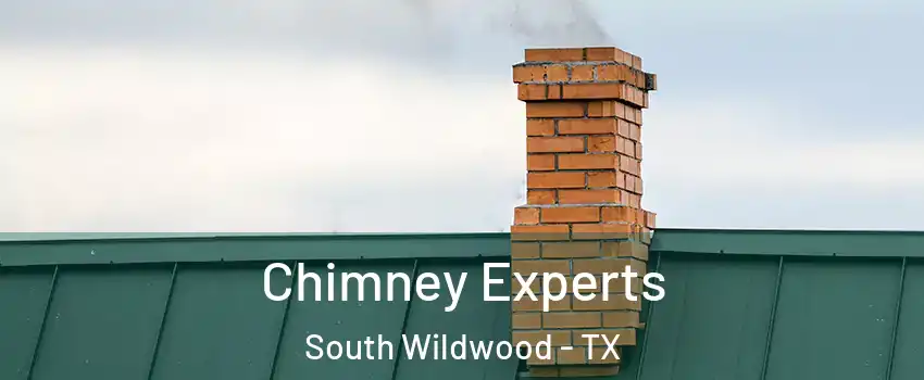 Chimney Experts South Wildwood - TX