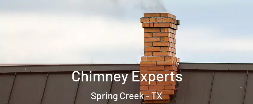 Chimney Experts Spring Creek - TX