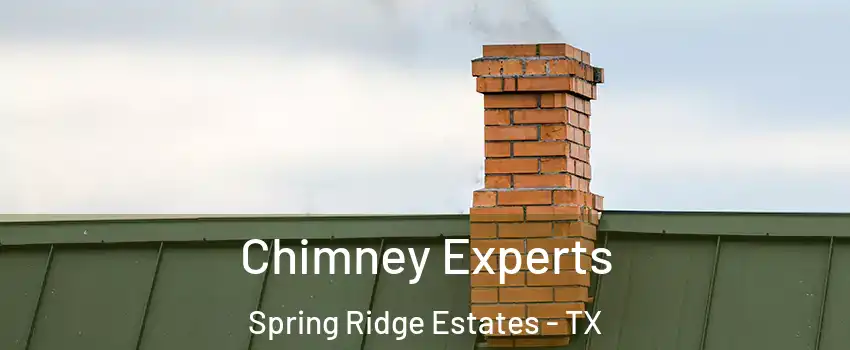 Chimney Experts Spring Ridge Estates - TX