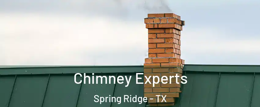 Chimney Experts Spring Ridge - TX