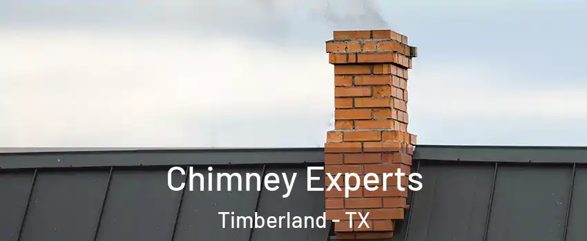 Chimney Experts Timberland - TX