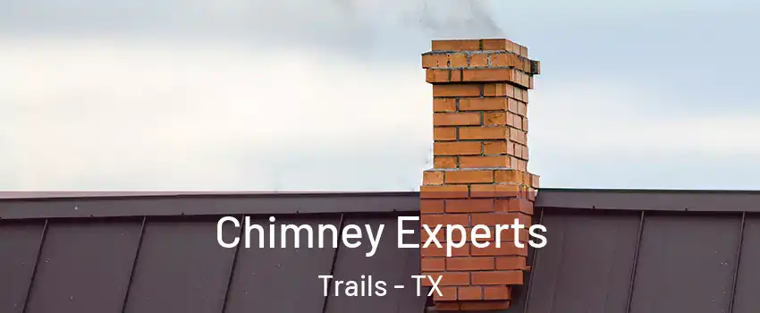 Chimney Experts Trails - TX