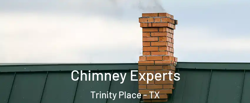 Chimney Experts Trinity Place - TX