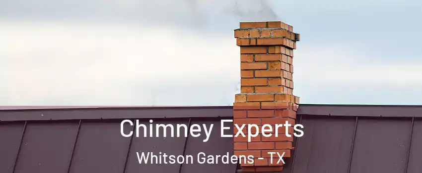 Chimney Experts Whitson Gardens - TX