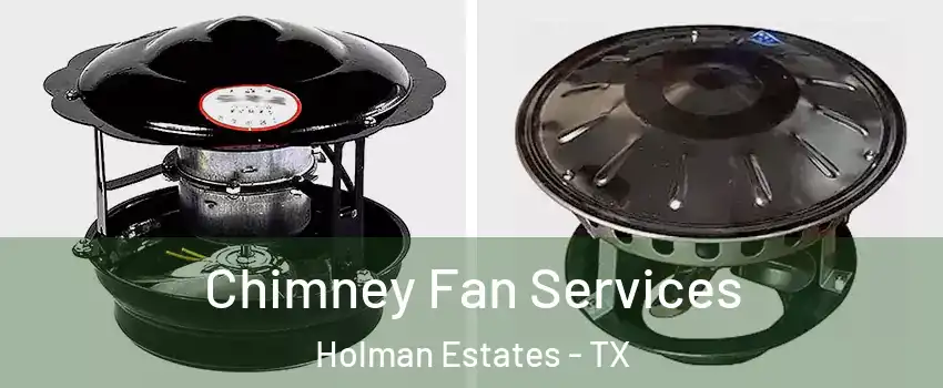 Chimney Fan Services Holman Estates - TX