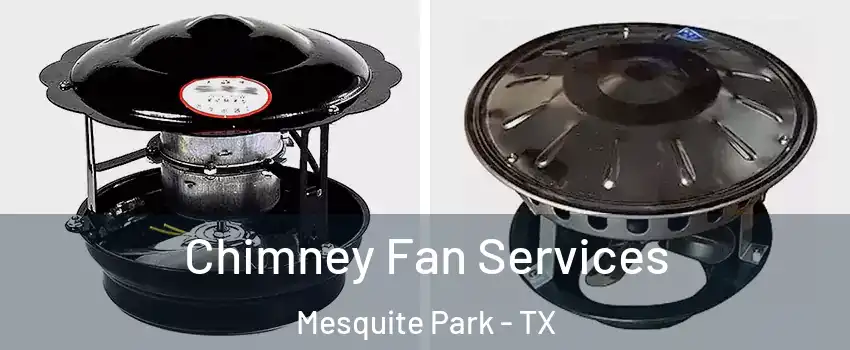 Chimney Fan Services Mesquite Park - TX