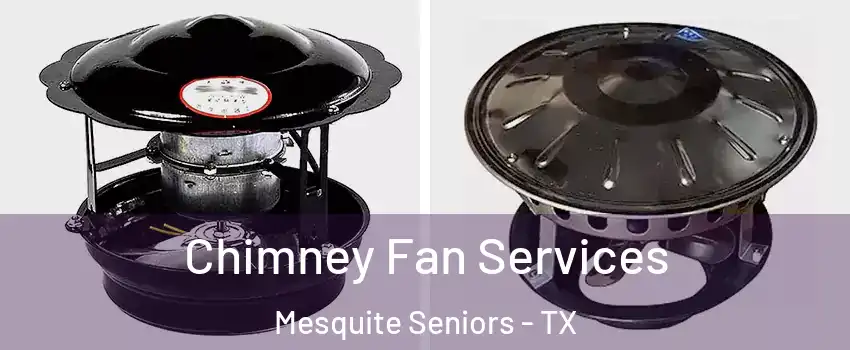 Chimney Fan Services Mesquite Seniors - TX